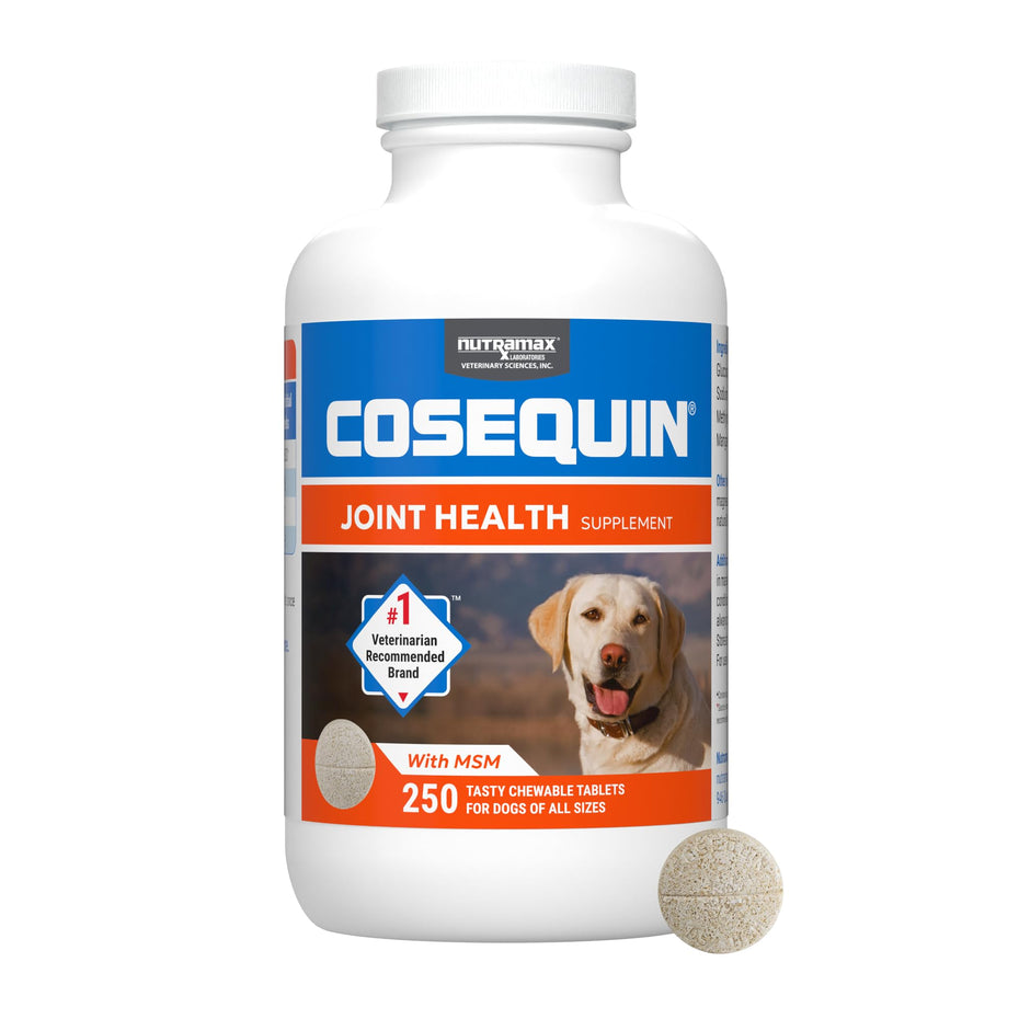 Nutramax Laboratories Cosequin Maximum Strength Joint Health Supplement for Dogs
