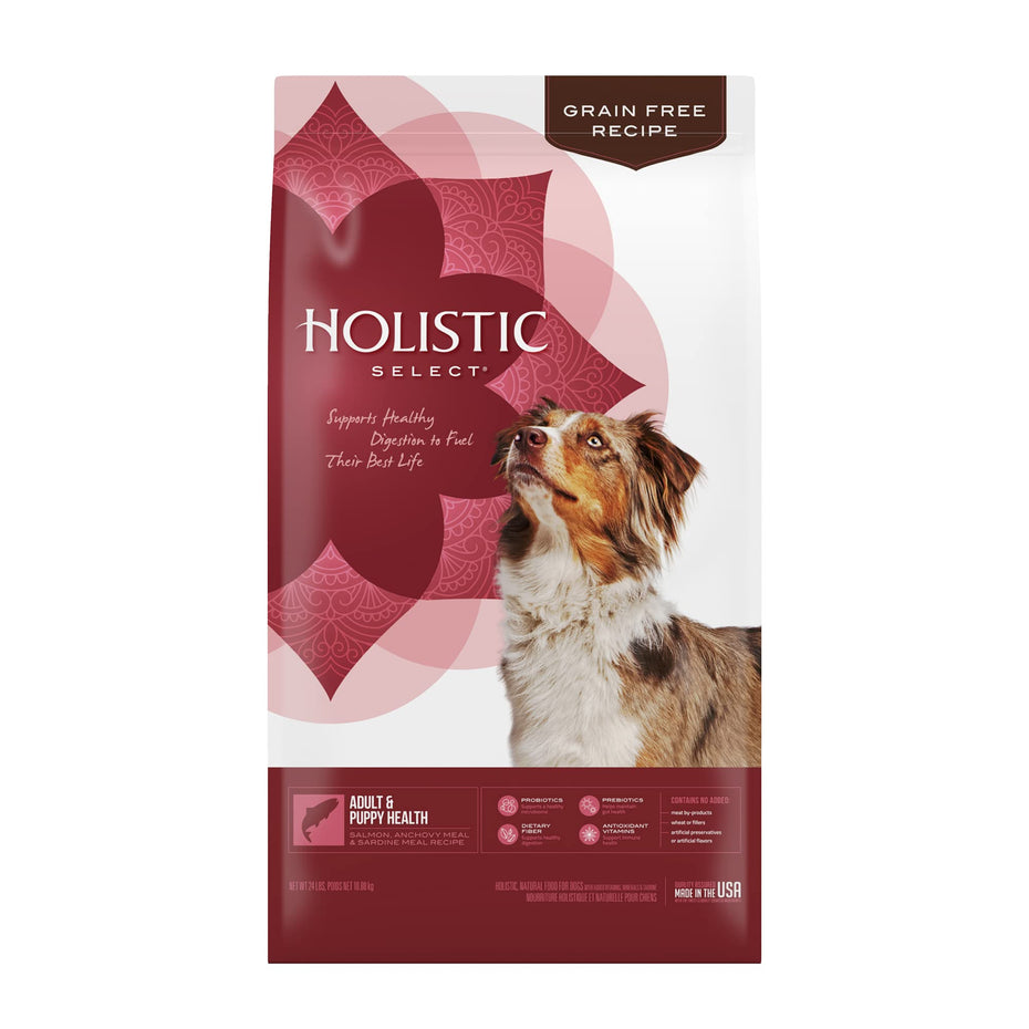 Holistic Select Natural Grain Free Dry Dog Food, Adult & Puppy Salmon, Anchovy & Sardine Recipe