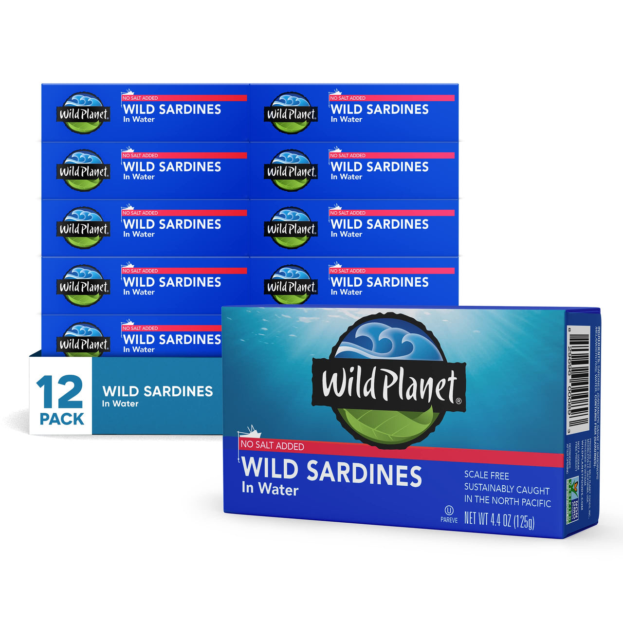 Sardines