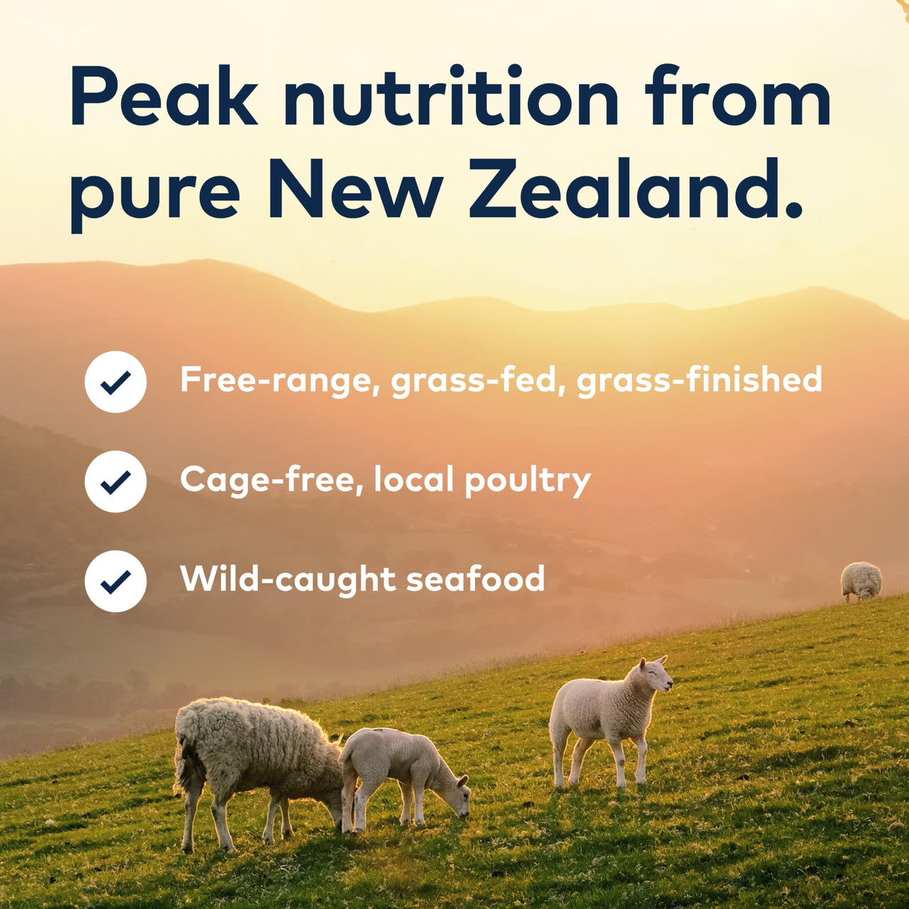 ZIWI Peak Wet Cat Food Variety Pack - Beef, Chicken, Lamb, Mackerel & Lamb, Mackerel, Venison, 6 Pack