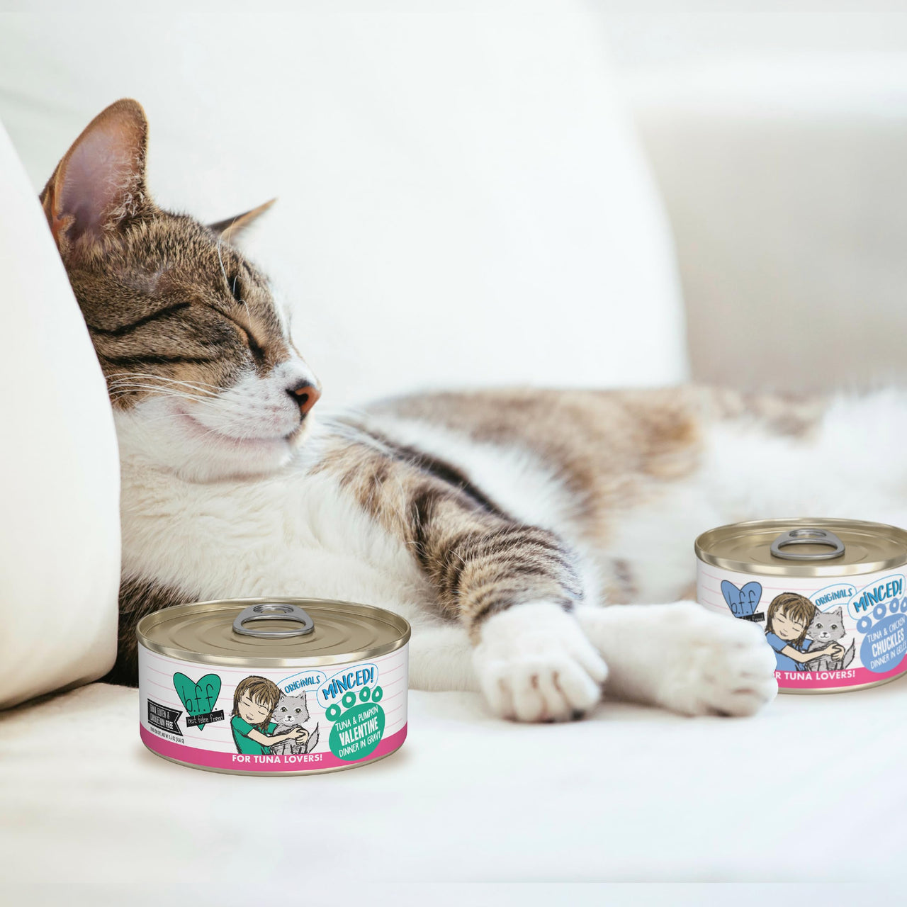 Weruva Best Feline Friend (B.F.F.), Big Feline Feast Variety Pack, Wet Cat Food