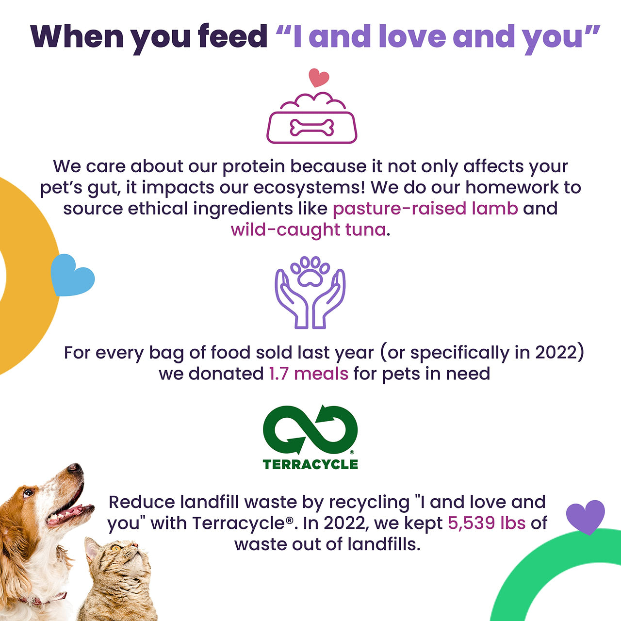 I and love and you Wet Cat Food - Beef Right Meow Pâté - Beef Recipe, Grain Free, Filler Free, 3oz Pack of 24 Cans