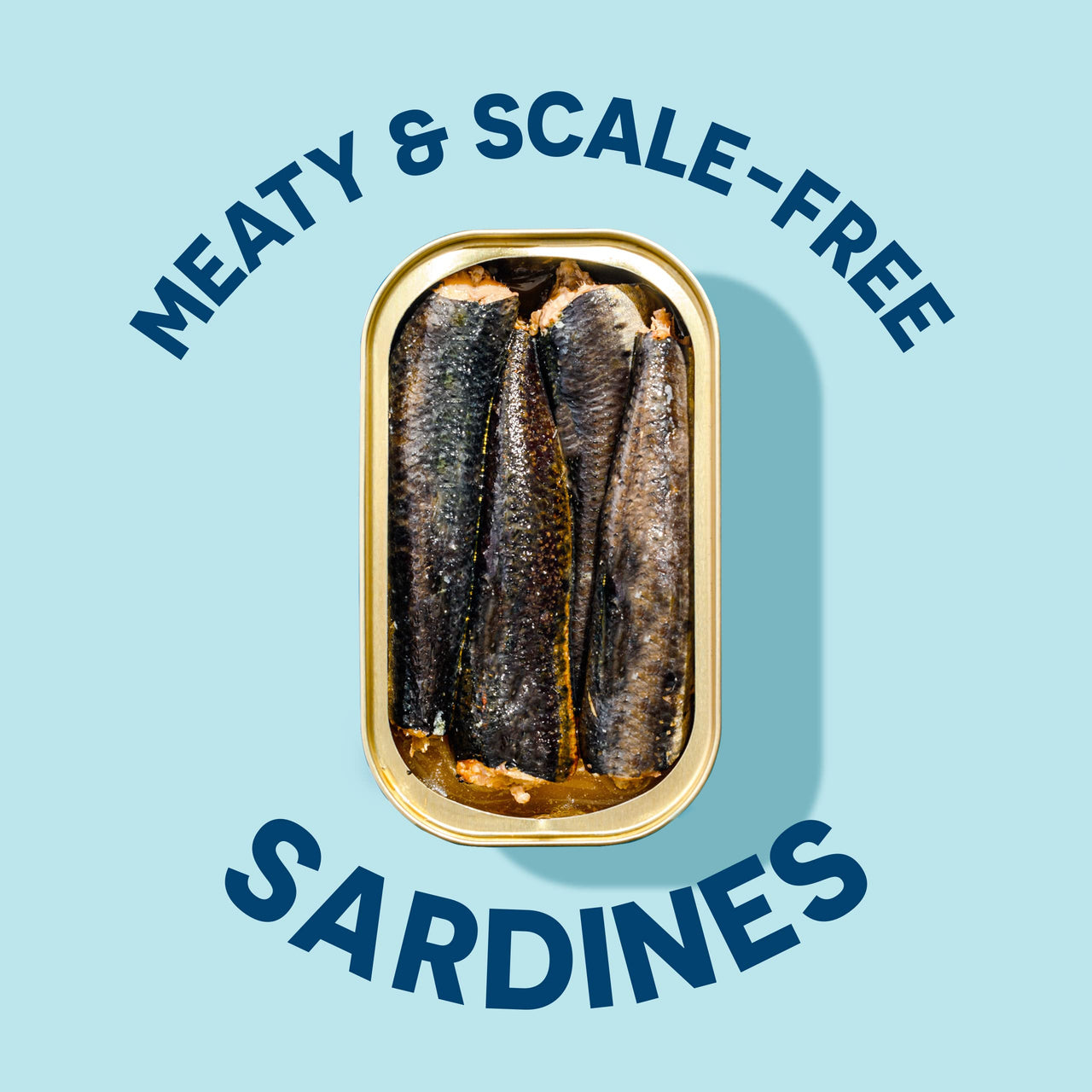 Sardines
