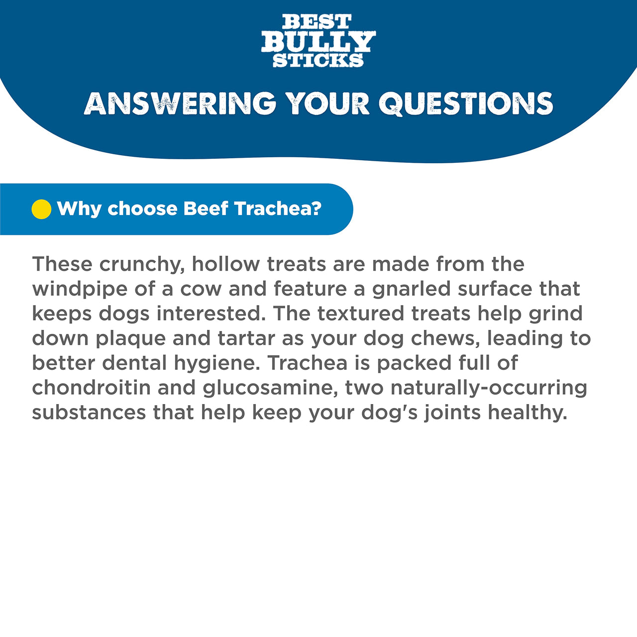 Dried Trachea