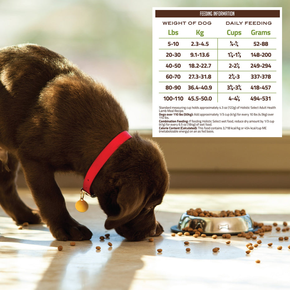 Holistic Select Natural Dry Dog Food, Lamb Meal Recipe