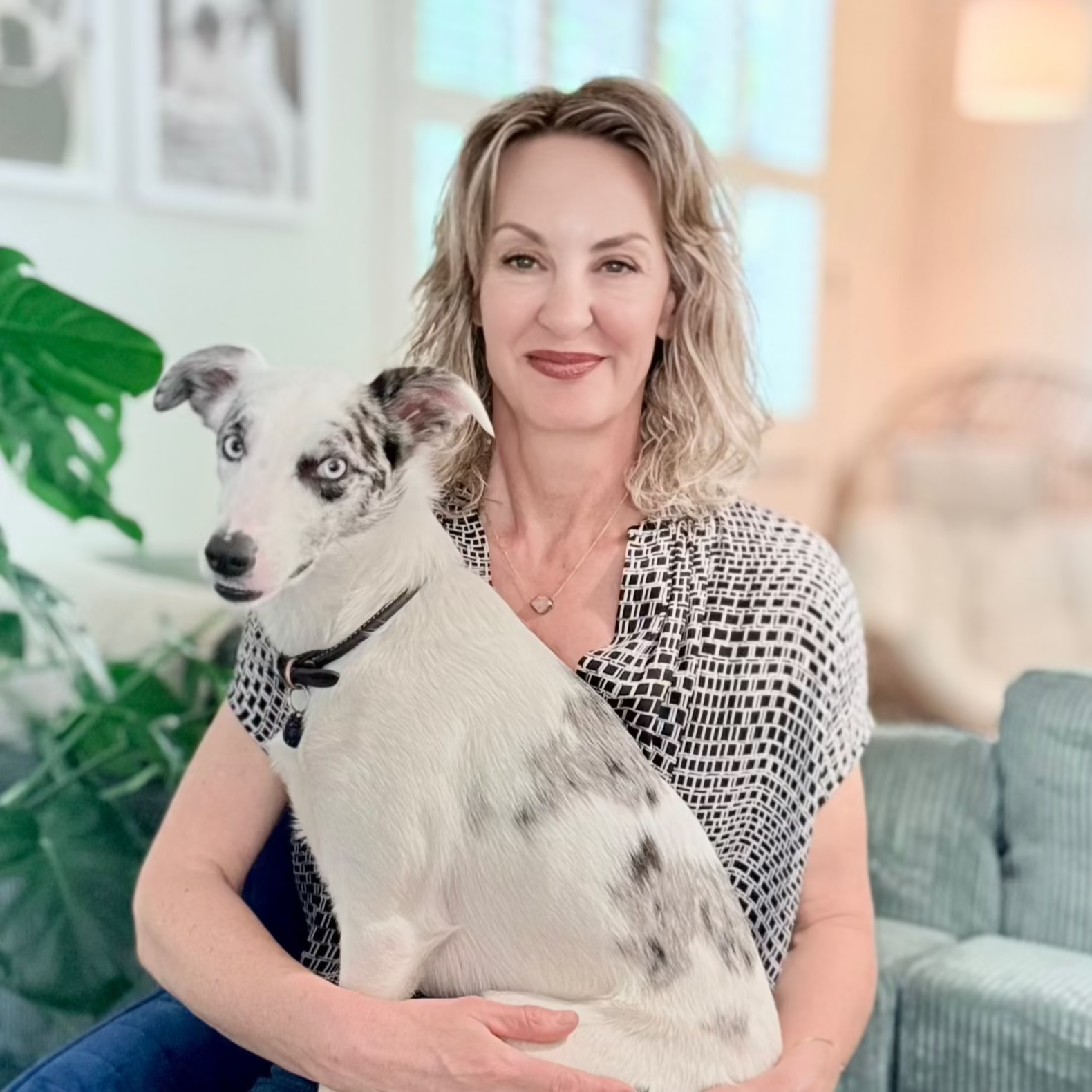 Integrative Connections