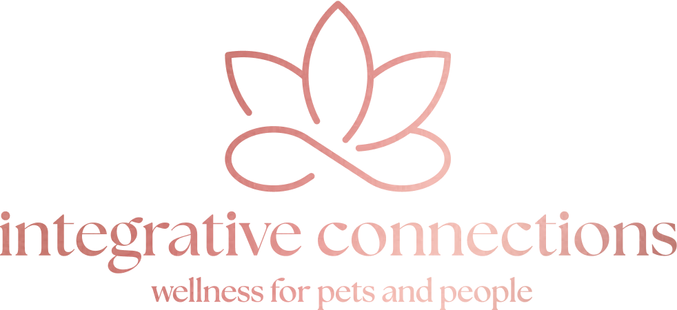 Integrative Connections