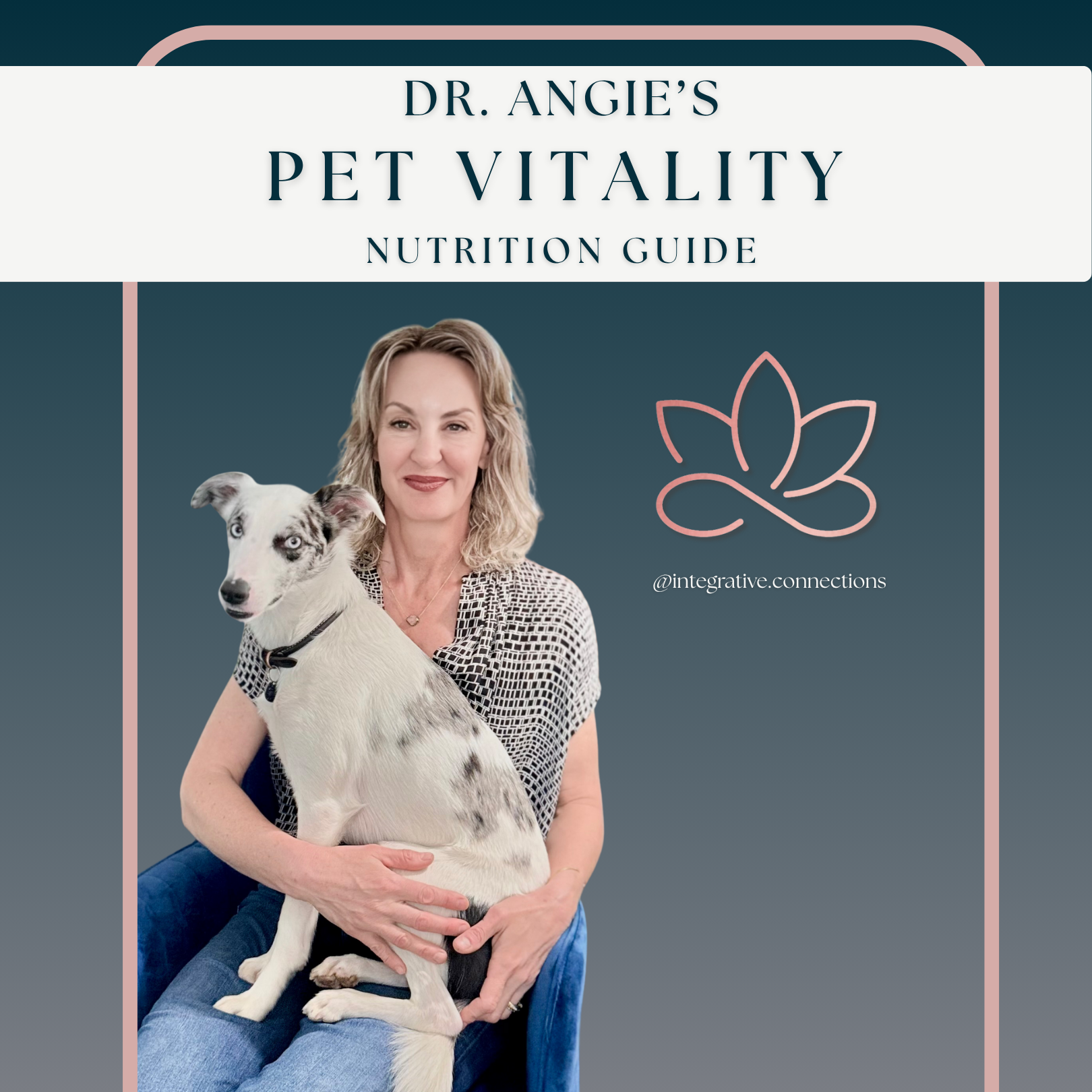 Integrative Connections