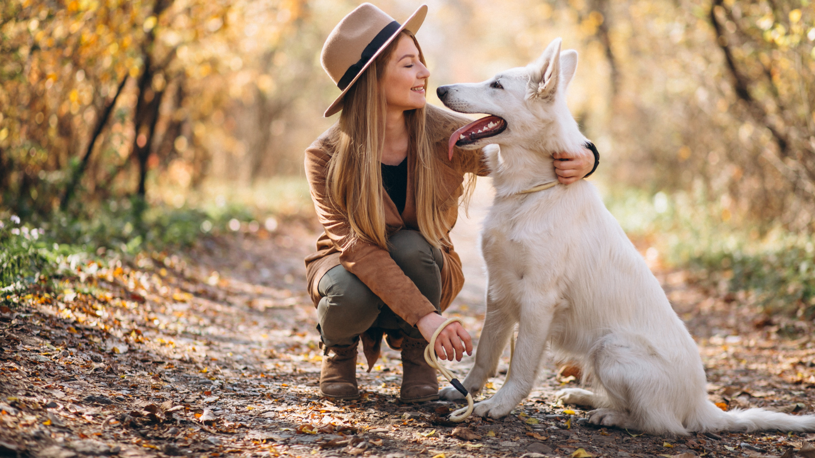 Integrative Connections